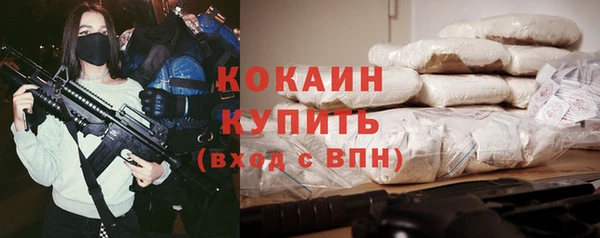 соль ск Алексеевка