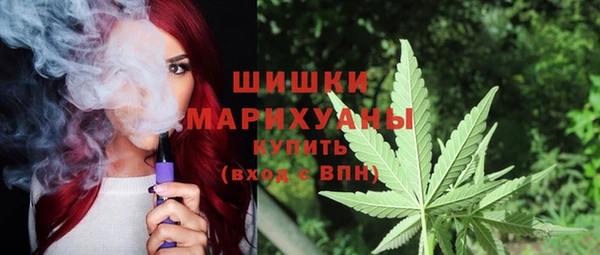молекула духа Алзамай