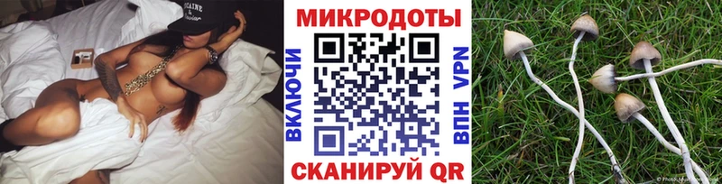Псилоцибиновые грибы Magic Shrooms  Сураж 