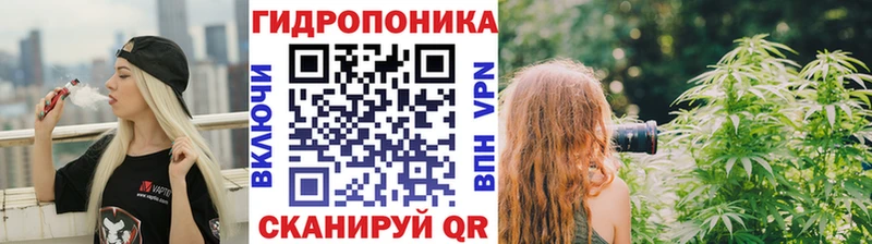 Бошки марихуана Amnesia  Сураж 